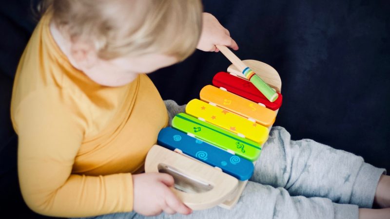 Best Xylophone for Kids